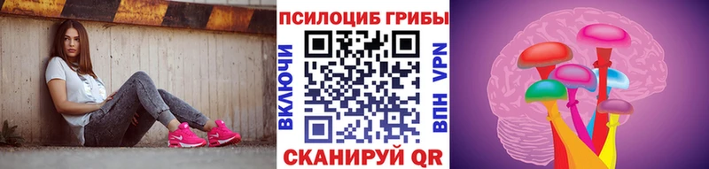 Псилоцибиновые грибы Cubensis  Отрадное 